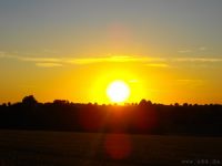 Sommerfest Baumberge 2010 252